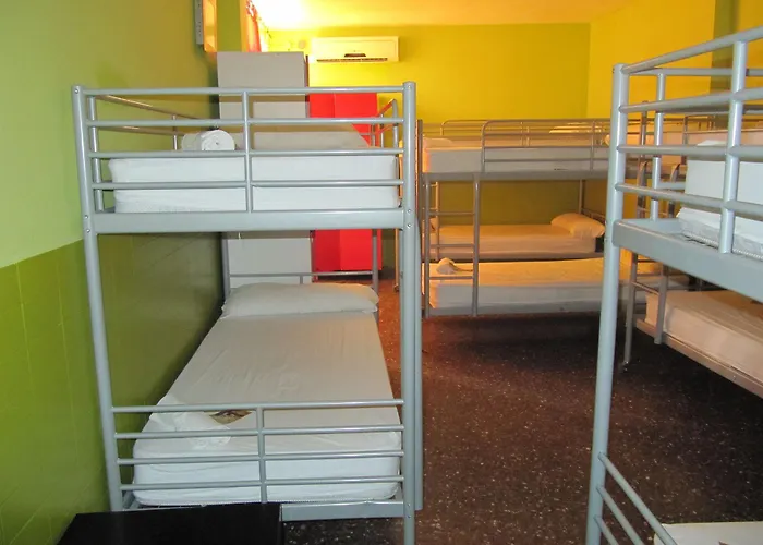 Onefam Les Corts بيت شباب *